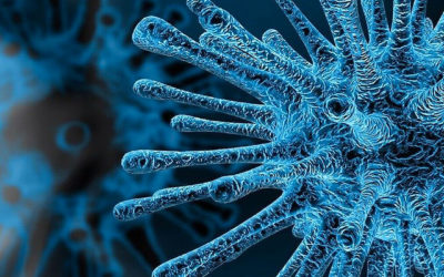 Cómo nos afecta el Coronavirus